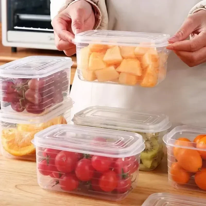 1/10 قطعة صندوق لحم تجميد الثل - مراجعة Food Storage Vault وسعره