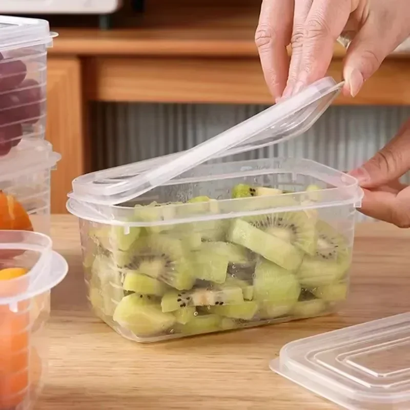 1/10 قطعة صندوق لحم تجميد الثل - مراجعة Food Storage Vault وسعره